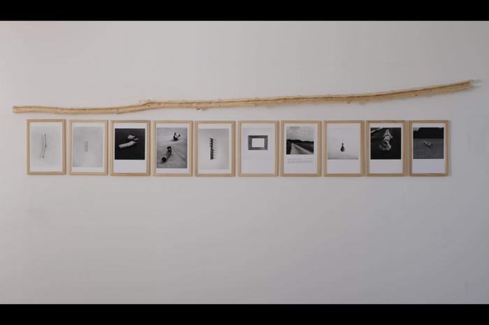 Matière vive – Portrait d’artiste, Daniel Van de Velde — Pôle Arts Visuels Pays de la Loire