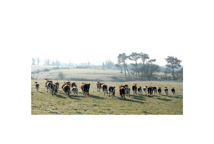 TRAJET#5 – Focus Lauréat·es Une odyssée en terre agricole / Damien Mousseau — Pôle Arts Visuels Pays de la Loire
