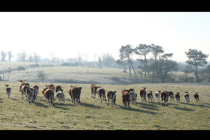 TRAJET#5 – Focus Lauréat·es Une odyssée en terre agricole / Damien Mousseau — Pôle Arts Visuels Pays de la Loire