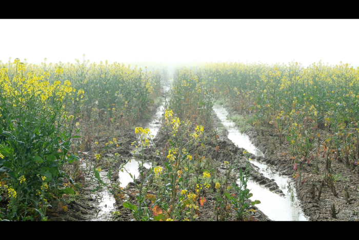 TRAJET#5 – Focus Lauréat·es Une odyssée en terre agricole / Damien Mousseau — Pôle Arts Visuels Pays de la Loire