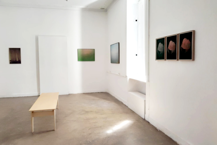 Matière vive – Récit de compagnon – Le Rayon Vert — Pôle Arts Visuels Pays de la Loire