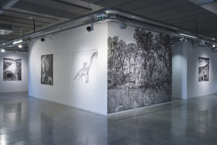 Matière vive – Portrait d’artiste, Anna Picco — Pôle Arts Visuels Pays de la Loire