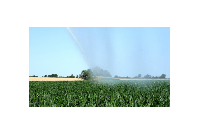 TRAJET#5 – Focus Lauréat·es Une odyssée en terre agricole / Damien Mousseau — Pôle Arts Visuels Pays de la Loire