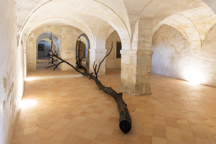 Matière vive – Récit de compagnon – Mauges-sur-Loire, Service Culture — Pôle Arts Visuels Pays de la Loire