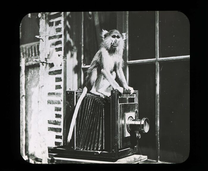 Appel à manifestation d’intérêt pour un projet participatif et artistique — Pôle Arts Visuels Pays de la Loire